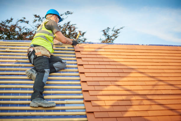 Best Metal Roofing Installation  in Hampton, IA